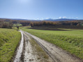 Paysage vallonné