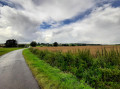 La jolie campagne vallonnée de Thoricourt