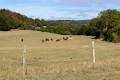 Paysage Paysage