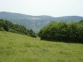 Paysage