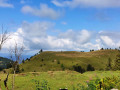 Paysage