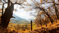 Paysage