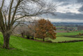 Paysage