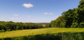paysage