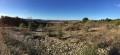 Paysage