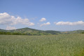 Paysage