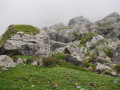 Paysage
