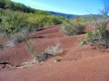 Dunes Dunes