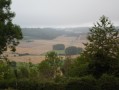 Paysage