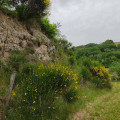 Paysage