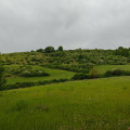 Paysage