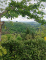 paysage