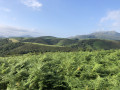 Paysage Paysage