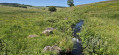 Ruisseau