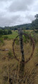 Paysage