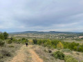 Paysage