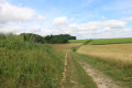 Paysage
