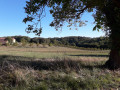 Paysage
