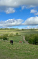 Chevaux au pr&eacute;