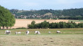 Paysage Paysage