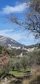 Paysages arrière pays Niçois