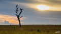 Paysages d'ici ou d'ailleurs...