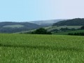 Dans les collines de Bray-et-Lû Dans les collines de Bray-et-Lû