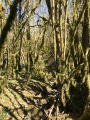 Paysages