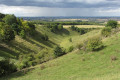 Pegsdon Hill Nature Reserve