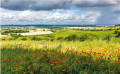 Pegsdon Hills Nature Reserve