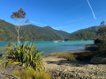 Pelorus Sounds