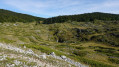 Serre Plumé und Pelouse de Derbounouse vom Col de la Chau aus gesehen Serre Plumé et Pelouse de Derbounouse depuis le Col de la Chau
