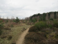 Pelouses, landes et bois