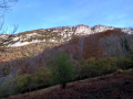 Pène Haute