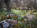 De Baboyères à Montgros