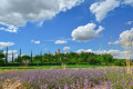 Le Tour des Châteaux