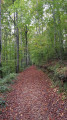 Permissive path Kingscote Wood