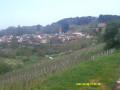 Pernand