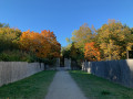 Perspective en sortant du Pavillon Royal