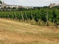 Perspective sur le Château