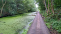 Pesspool Woods, wooden boards