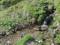 Petit ru sur les flanc du Sancy