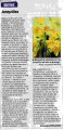 Petit article