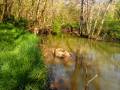 Boucle de Saint-Georges-de-Noisné par le Soleil Levant