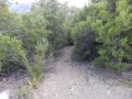 petit chemin du point 8 petit chemin du point 8