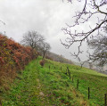 Boucle en campagne voironnaise Boucle en campagne voironnaise
