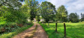 Petit chemin