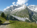 Petit Col ferret with lower flank and SE ridge of Mont Dolent