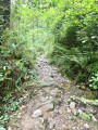 Petit cours d’eau