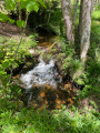 Petit cours d’eau